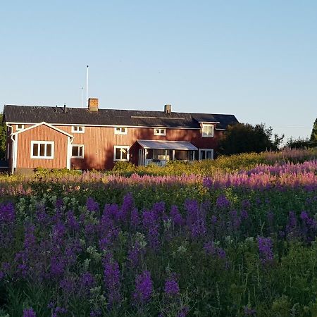 The Friendly Moose Hotel Overtornea ภายนอก รูปภาพ
