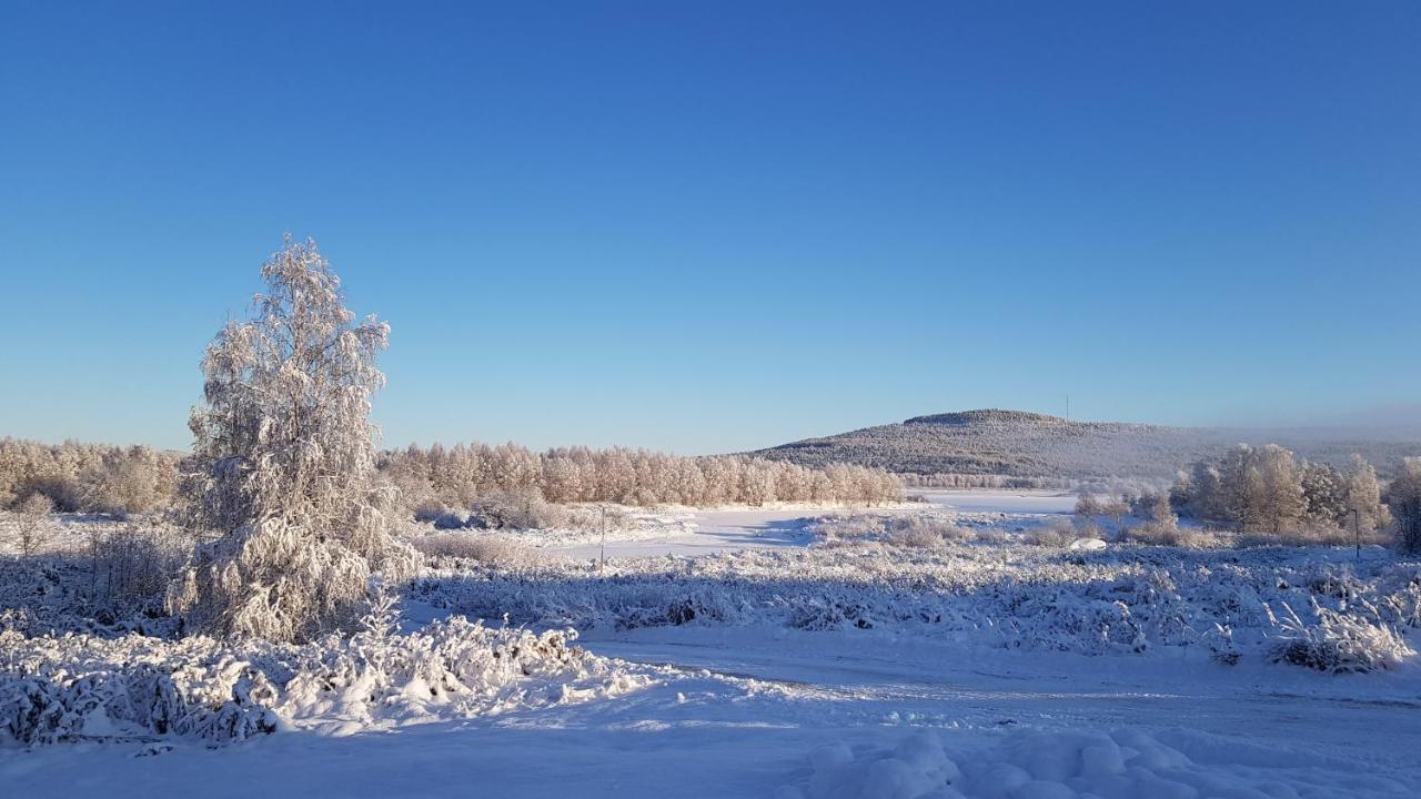 The Friendly Moose Hotel Overtornea ภายนอก รูปภาพ