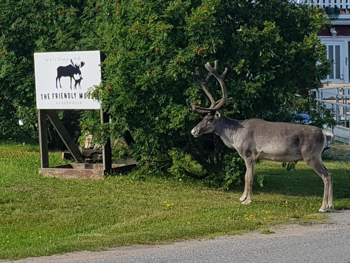 The Friendly Moose Hotel Overtornea ภายนอก รูปภาพ