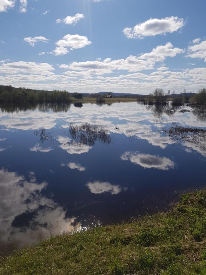The Friendly Moose Hotel Overtornea ภายนอก รูปภาพ