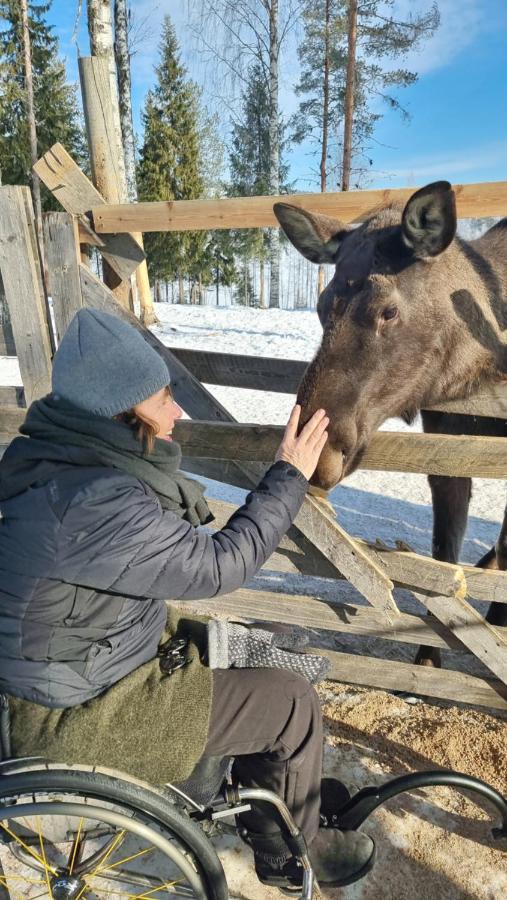 The Friendly Moose Hotel Overtornea ภายนอก รูปภาพ
