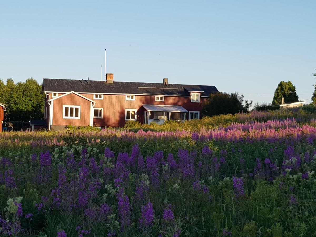 The Friendly Moose Hotel Overtornea ภายนอก รูปภาพ