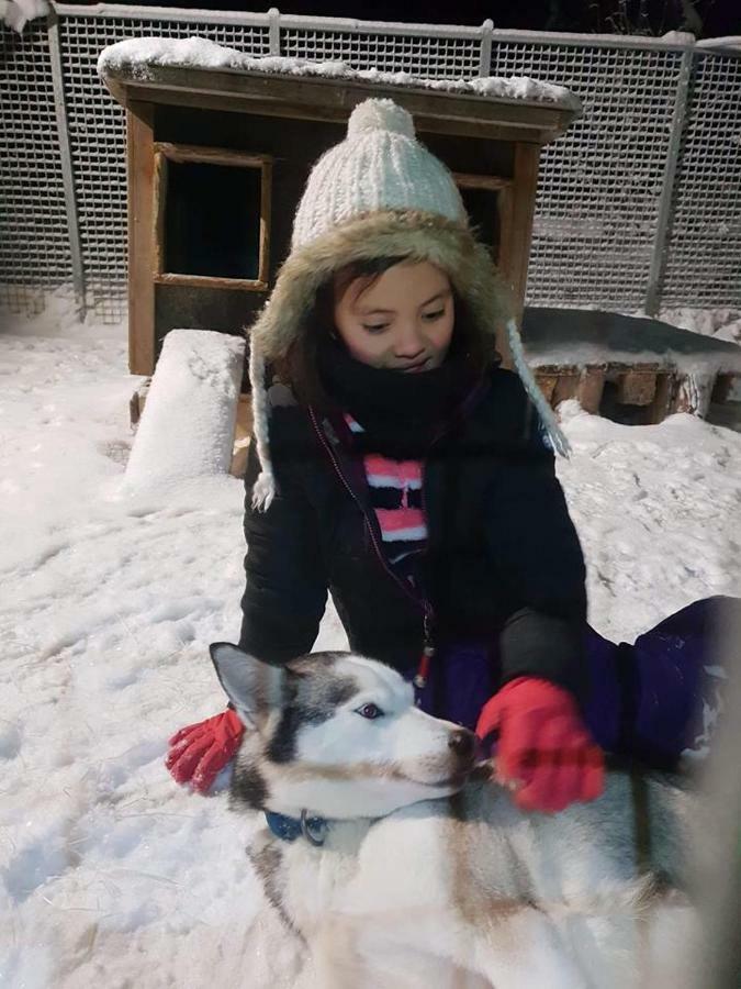 The Friendly Moose Hotel Overtornea ภายนอก รูปภาพ