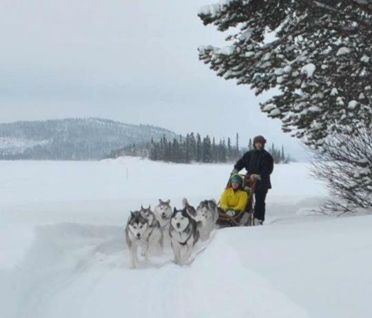 The Friendly Moose Hotel Overtornea ภายนอก รูปภาพ