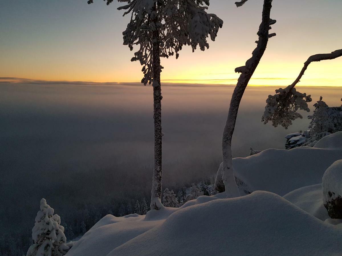 The Friendly Moose Hotel Overtornea ภายนอก รูปภาพ
