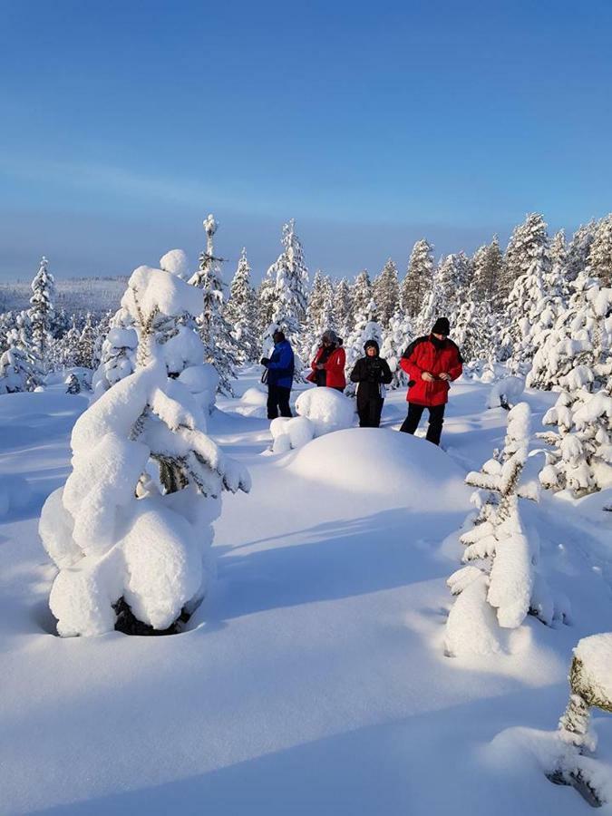 The Friendly Moose Hotel Overtornea ภายนอก รูปภาพ